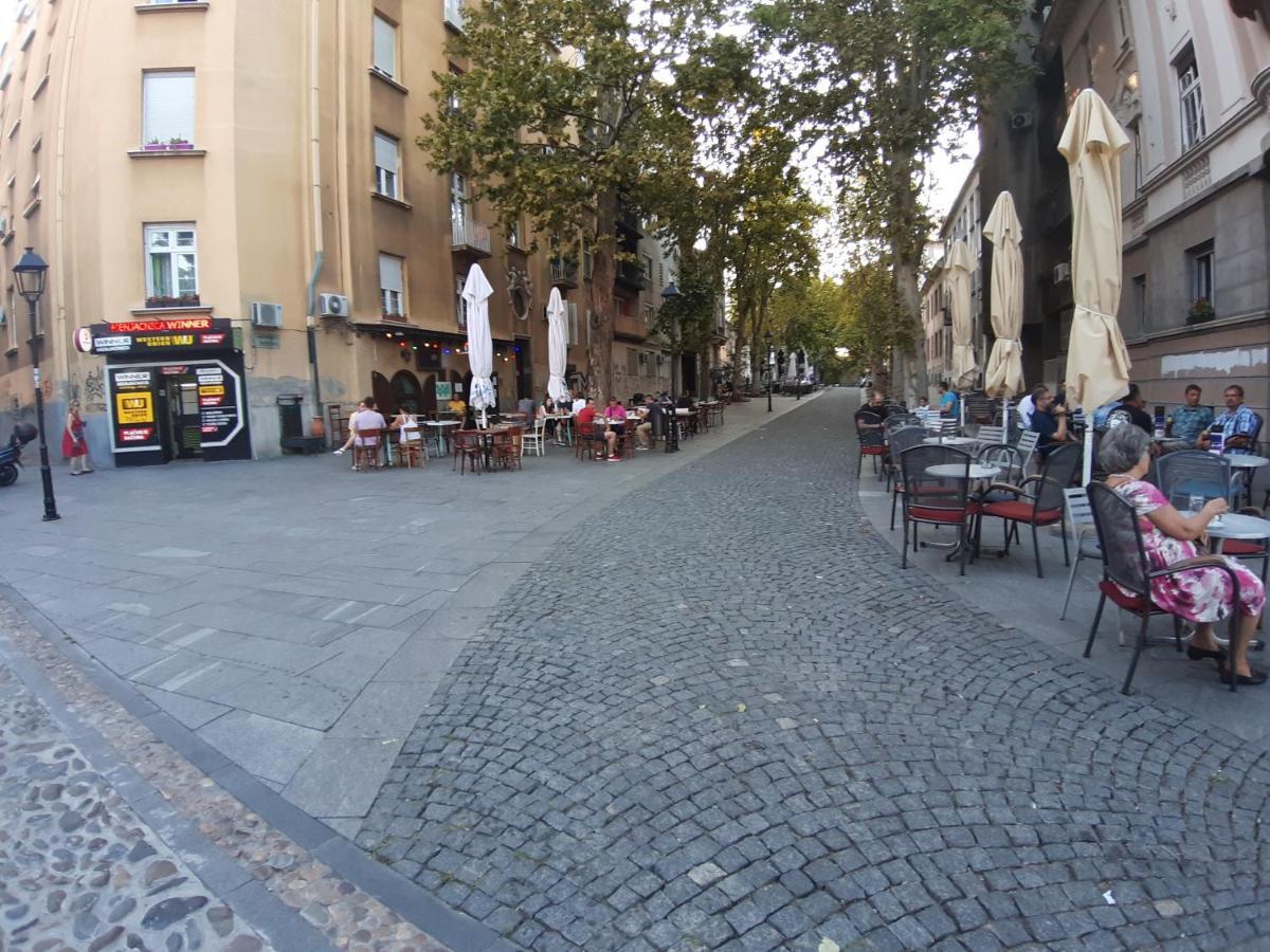 Rooster Apartments Belgrad Exterior foto